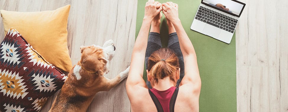 Woman on a yoga mat copying a stretching how-to on her laptop while her dog sits beside her.